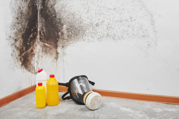 Water Damage Restoration in Nashville, AR