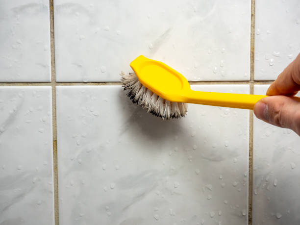 Best Residential Mold Removal  in Nashville, AR