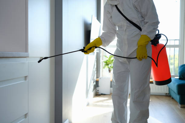 Best Mold Removal Process  in Nashville, AR