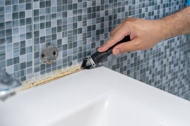 Best Commercial Mold Removal  in Nashville, AR