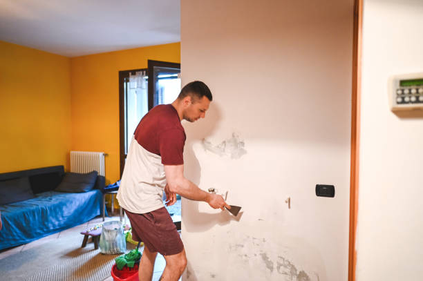 Trusted Nashville, AR Mold Removal Experts